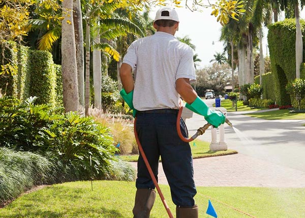 About Cosmos MN Pest Control